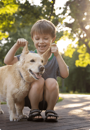 child playing with a dog