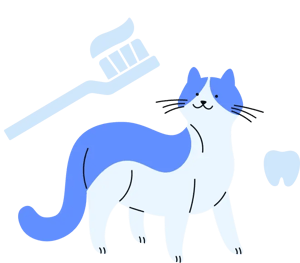 Dental_cat