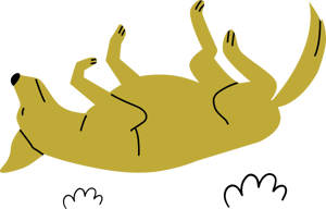 itchydog