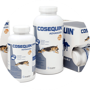 cosequin