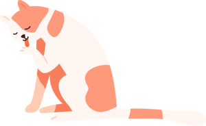 cat_licking