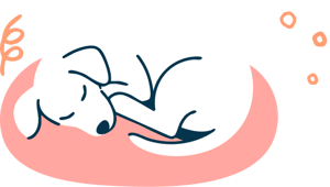 pain_dog